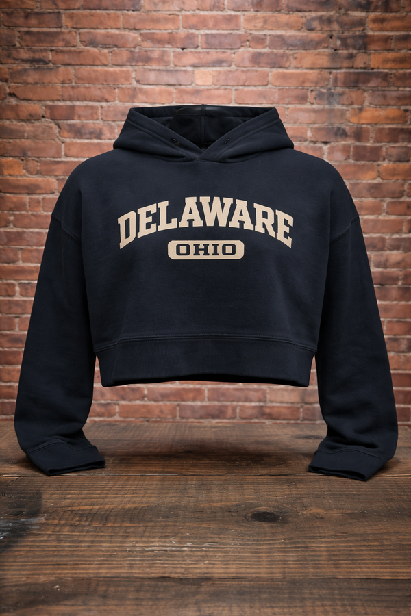 Delaware, Ohio Hoodie – Clean Cut
