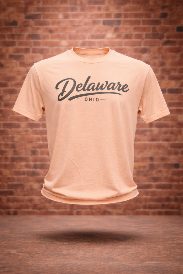 Simplistic Delaware Script Tee