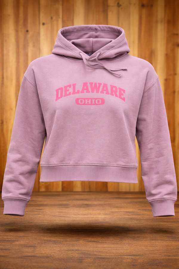 Delaware, Ohio Hoodie – Clean Cut