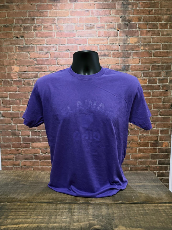 Classic Delaware T-Shirts