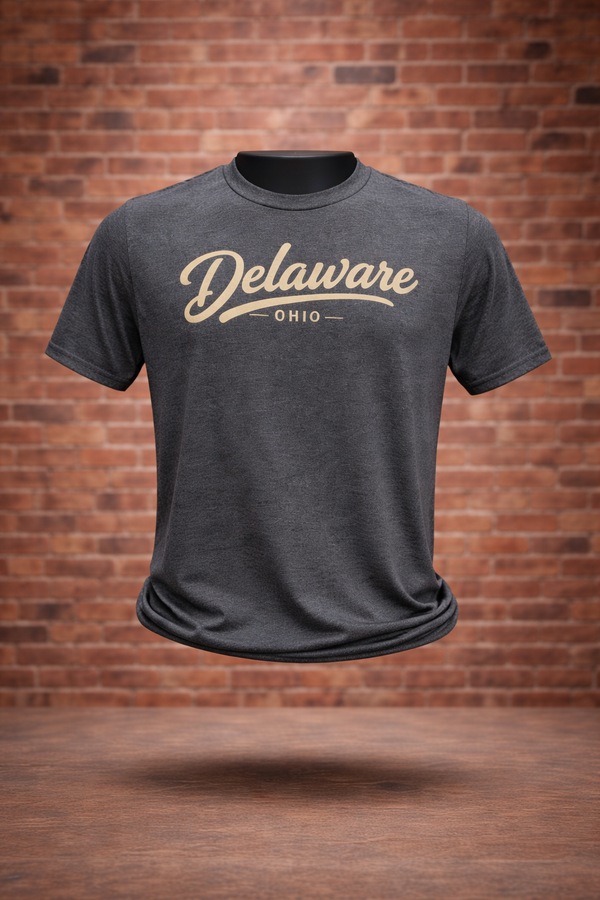 Simplistic Delaware Script Tee