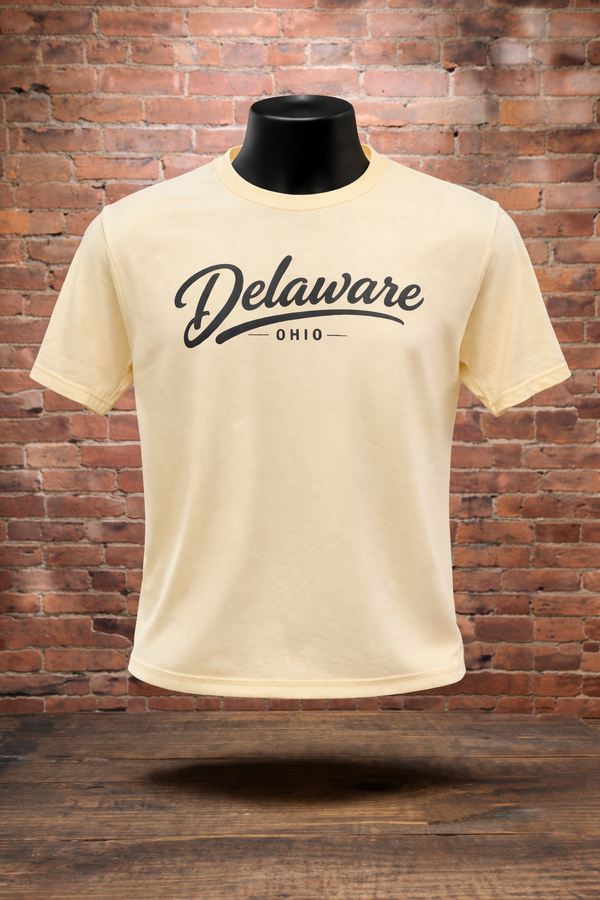 Simplistic Delaware Script Tee