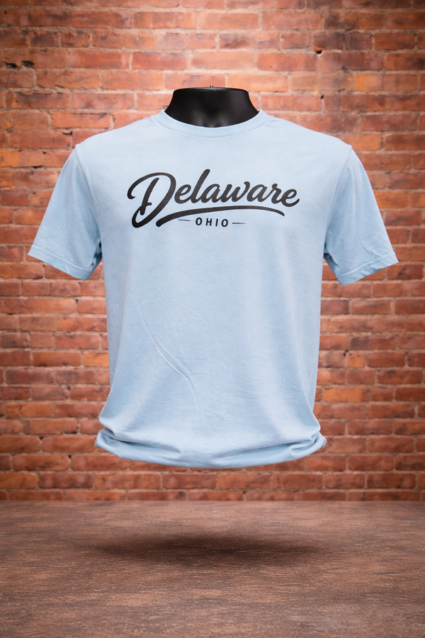 Simplistic Delaware Script Tee