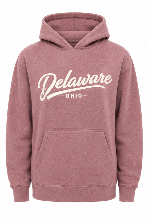 Simplistic Delaware Hoodie