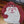 Classic Delaware Raglan Hoodies