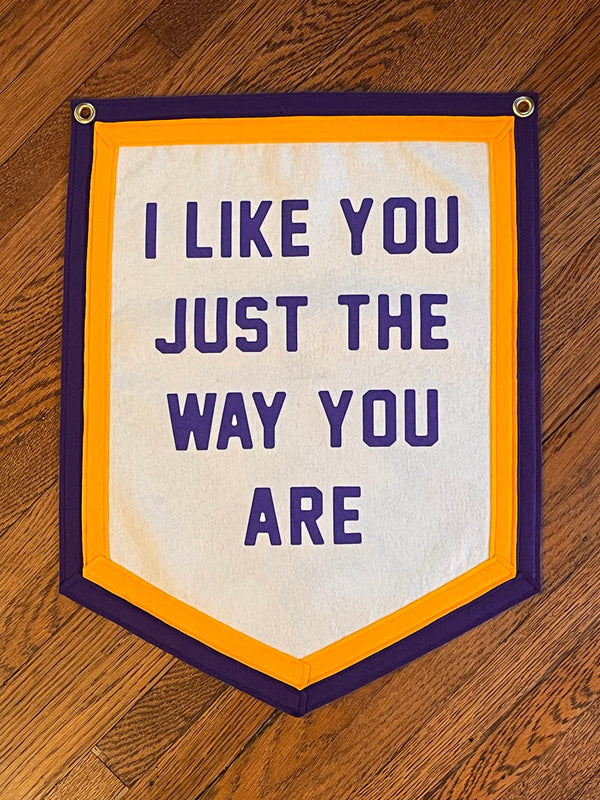 I Like You Just The Way You Are Pennant
