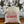 Canvas Tote Bag Delaware, OH est 1808