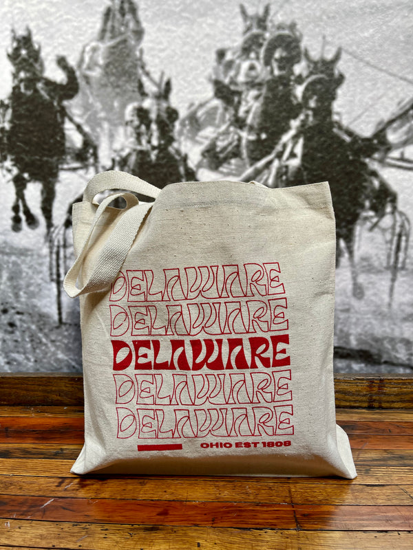 Canvas Tote Bag Delaware, OH est 1808